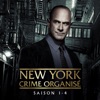 Télécharger New York: Crime Organisé, Saison 1-4 (VF)