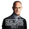 Télécharger New York: Crime Organisé, Saison 2 (VF)