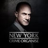 Télécharger New York: Crime Organisé, Saison 1 (VF)