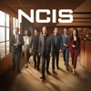 Télécharger NCIS, Season 21