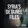 Télécharger Syria's Detainee Files