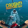 Télécharger Caught! Sharks Strike Back, Season 1