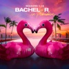 Télécharger Bachelor in Paradise, Seasons 1-10