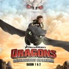 Télécharger Dragons: Défenseurs de Beurk, Saison 1 & 2 (VF)