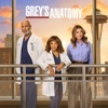 Télécharger Grey's Anatomy, Saison 22 (VOST)