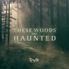 Télécharger These Woods are Haunted, Season 3