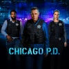 Télécharger Chicago PD, Saison 11 (VF)