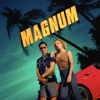 Télécharger Magnum, Saison 5 (VF)
