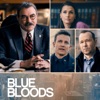 Télécharger Blue Bloods, Saison 13 (VF)