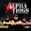 Télécharger Alpha Dogs, Season 1