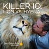 Télécharger Killer IQ: Lion vs. Hyena, Season 1