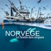 Télécharger Norvège : le festin des orques