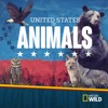 Télécharger United States of Animals, Season 1