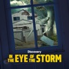 Télécharger In the Eye of the Storm, Season 3