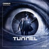 Télécharger Tunnel, Saison 1 (VF)