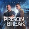 Télécharger Prison Break, Season 4