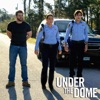 Acheter Under the Dome, Saison 2 en DVD