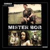 Télécharger Mister Bob
