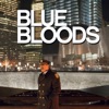 Télécharger Blue Bloods, Saison 3