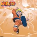 Télécharger Naruto, Arc 7 : Chuunin Exam 3 - Tournament