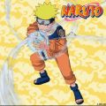 Télécharger Naruto, Arc 14 : A la recherche d'Orochimaru
