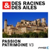 Télécharger Des Racines & des Ailes, Passion patrimoine, Vol. 3