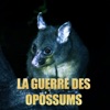 Télécharger La guerre des opossums
