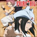 Télécharger Fairy Tail, Saison 2, l'Intégrale (VOST)