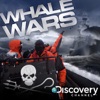 Télécharger Whale Wars, Series 2
