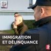 Acheter Immigration et délinquance en DVD