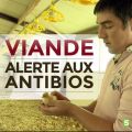 Télécharger Viande, alerte aux antibios