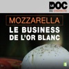 Télécharger Mozzarella, le business de l'or blanc