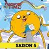 Télécharger Adventure Time, Saison 5
