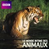 Télécharger Le monde intime des animaux