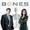 Télécharger Bones, Saison 1