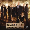 Acheter Law & Order: SVU (Special Victims Unit), Season 7 en DVD