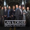 Acheter Law & Order: SVU (Special Victims Unit), Season 10 en DVD