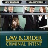 Acheter Law & Order: Criminal Intent, Season 7 en DVD