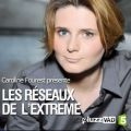 Télécharger Les réseaux de l'extrême