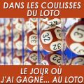 Télécharger Le jour où j'ai gagné… au Loto