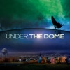 Acheter Under the Dome, Saison 3 en DVD