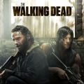 Acheter The Walking Dead, Saison 1-5 (VF) en DVD