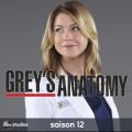 Télécharger Grey's Anatomy, Saison 12 (VOST)