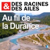 Télécharger Au fil de la Durance