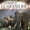 Télécharger Afrique : le grand Rift, saison 1