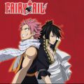 Télécharger Fairy Tail, Saison 3, Partie 7