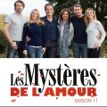 Télécharger Les mystères de l'amour, Saison 11