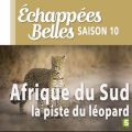 Télécharger Afrique du Sud, la piste du léopard