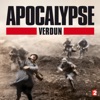 Télécharger Apocalypse : Verdun