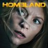 Télécharger Homeland, Saison 5 (VF)